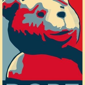 Meet your Posher, Carlos